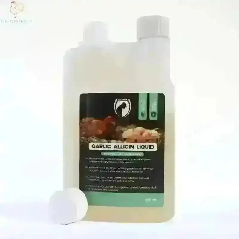 Garlic Allicin voor Gezonde Kippen en Betere Weerstand - Kippenpakket.nl