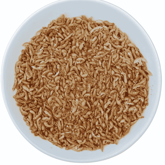 Premium Gedroogde Vlokreeftjes – Eiwitrijke Snack voor Kippen & Kuikens - Premium Gedroogde Vlokreeftjes – Eiwitrijke Snack voor Kippen & Kuikens - 1 Liter Hersluitbare Stazak (~170 gram) - Kippensnacks - Kuikensnacks Vlokreeftjes - - Kippenpakket.nl