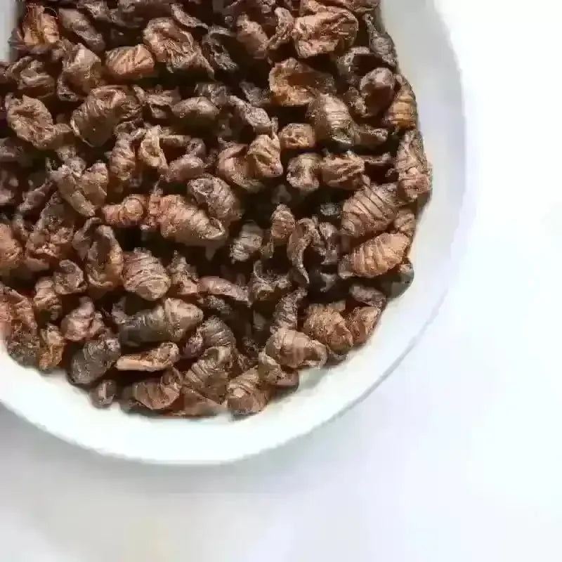 Gedroogde Zijderupsen: Gezonde Snack Voor Gelukkige Kippen - Kippenpakket.nl