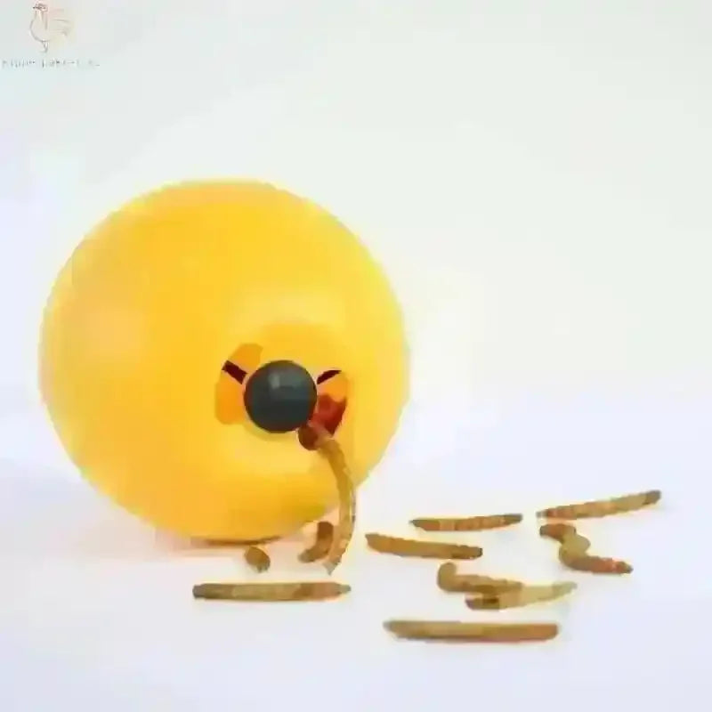 Kippen Speelbal Voor Leuke Voeding En Spelletjes Verveling Voorkomen - Kippenpakket.nl