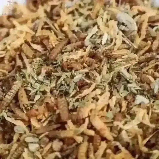 Kruidige Insectenmix Voor Gezond Pluimvee En Kuikens - Kippenpakket.nl