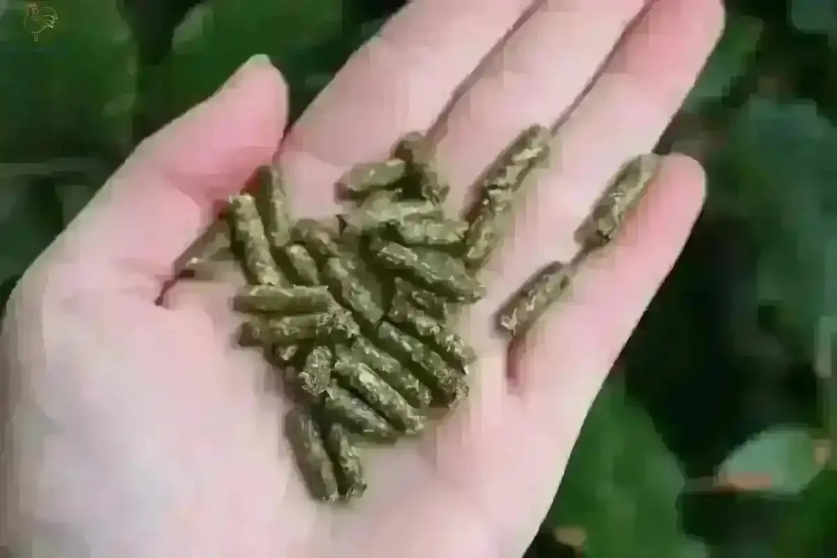 Luzerne Pellets Groenvoer voor Gezonde Kippen - Kippenpakket.nl