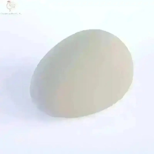 Rubber Nest Ei Voor Eieren Zonder Pikken - Kippenpakket.nl