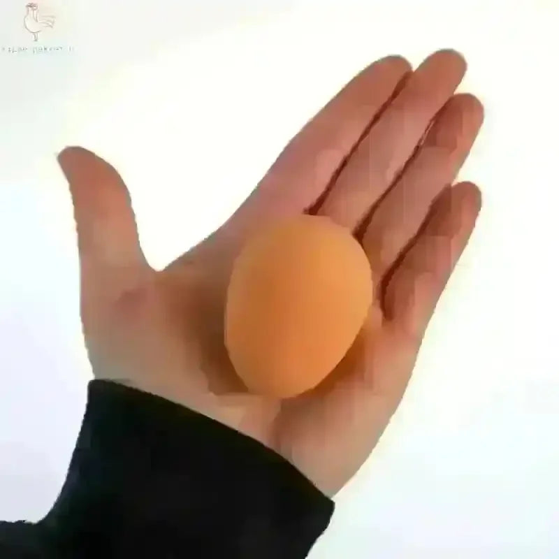 Rubber Nest Ei Voor Eieren Zonder Pikken - Kippenpakket.nl