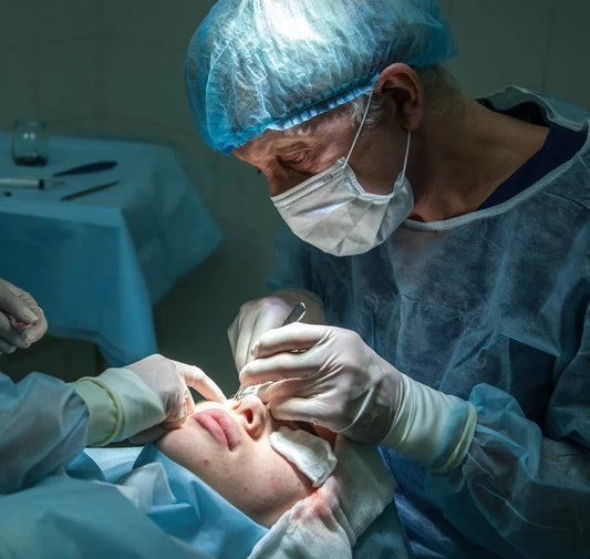 Ongedierte en de Gezondheid van Kippen: Wat je moet Weten - Kippenpakket.nl