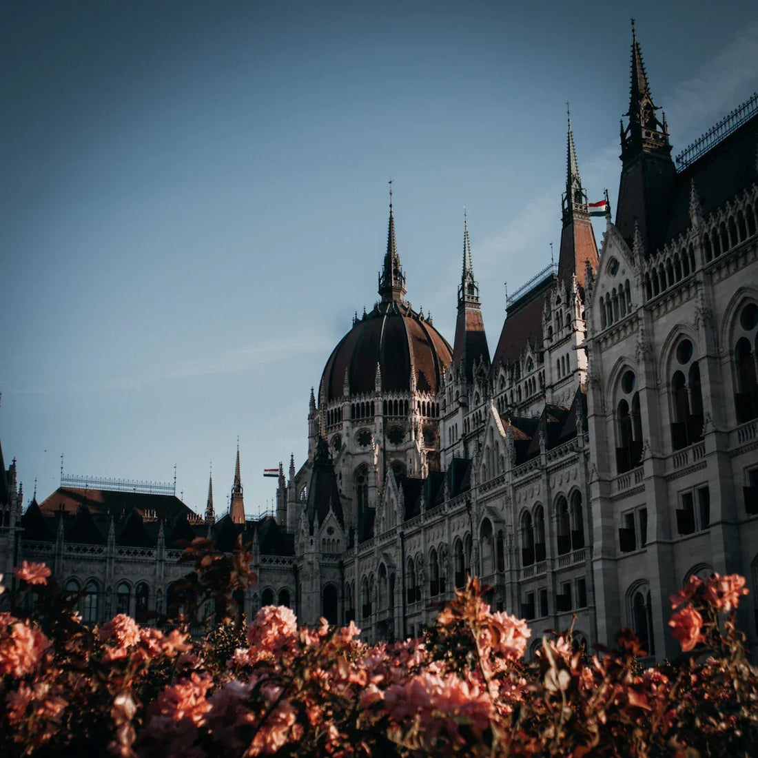 Alt-tekst (in Dutch):Indrukwekkend Hongaars parlementsgebouw met bloemen op de voorgrond