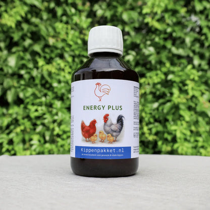 Energy Plus - Ondersteuning voor kippen na ziekte of stress voor snel herstel.