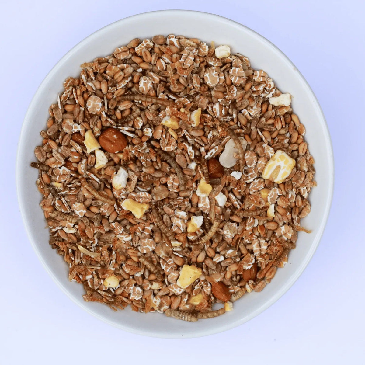 Kippen eten eiwitrijke kippenmuesli met meelwormen, granen en garnaaltjes uit een voerbak in een groene ren – gezonde snack voor kippen 1,5kg (4L)