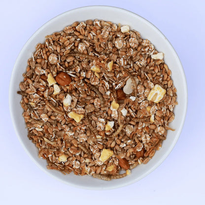 Kippen eten eiwitrijke kippenmuesli met meelwormen, granen en garnaaltjes uit een voerbak in een groene ren – gezonde snack voor kippen 1,5kg (4L)
