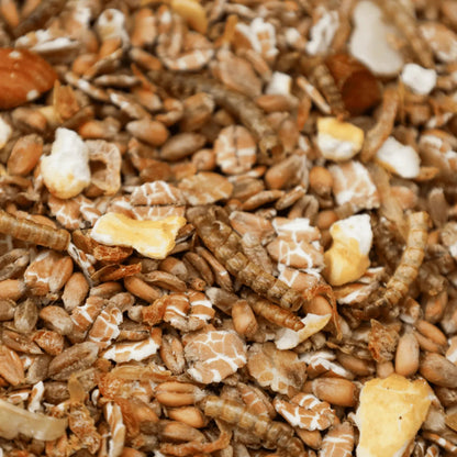 Kippen eten eiwitrijke kippenmuesli met meelwormen, granen en garnaaltjes uit een voerbak in een groene ren – gezonde snack voor kippen 1,5kg (4L)