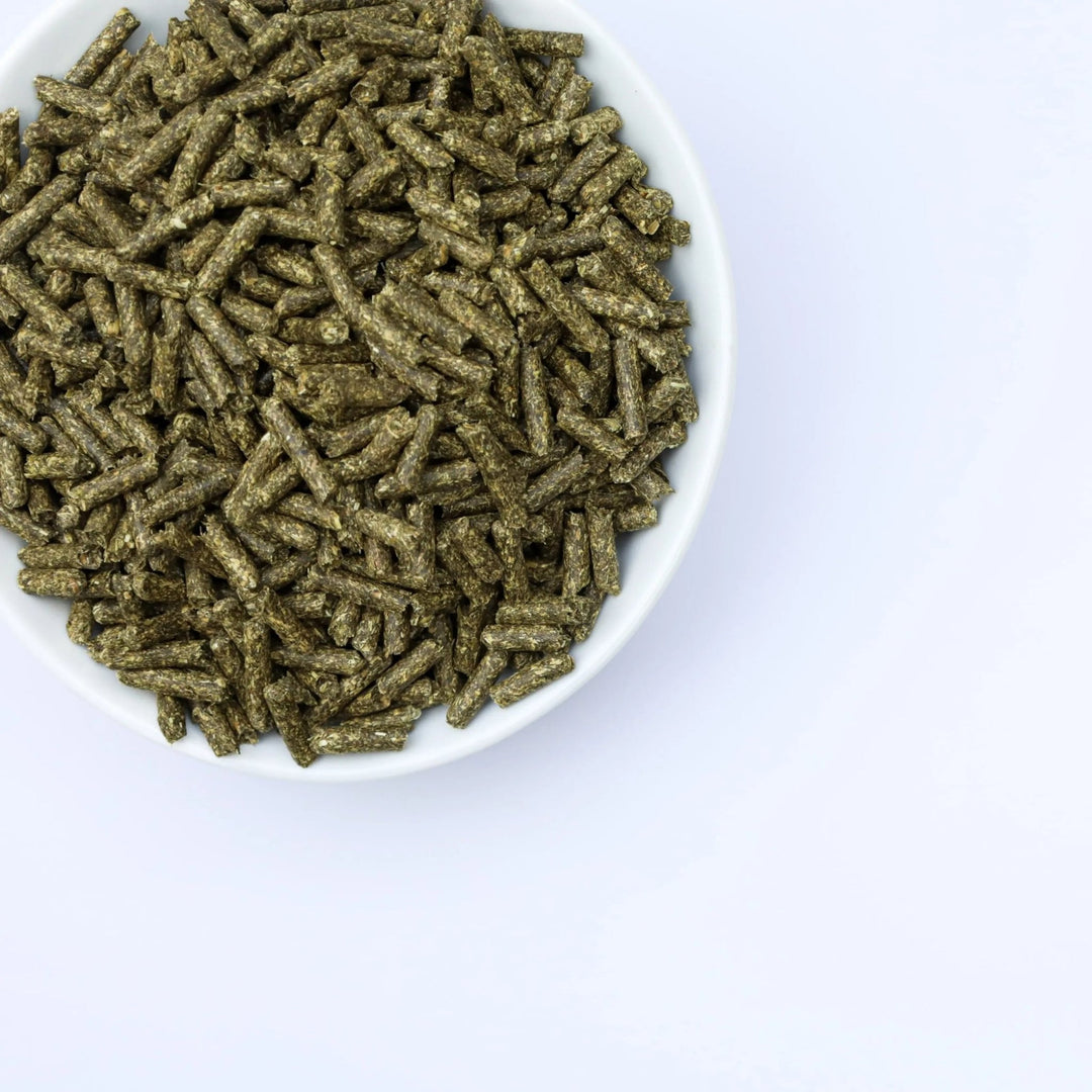 Luzerne Pellets Groenvoer – Superfood voor je Kippen