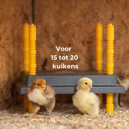 Twee kuikens staan op houtkrullen naast een Kippenpakket.nl Afdekkap 25x25cm voor warmteplaat kuikens met gele poten, met opschrift "Voor 15 tot 20 kuikens." De houten ondergrond past bij een hygiënisch kuikenhok.