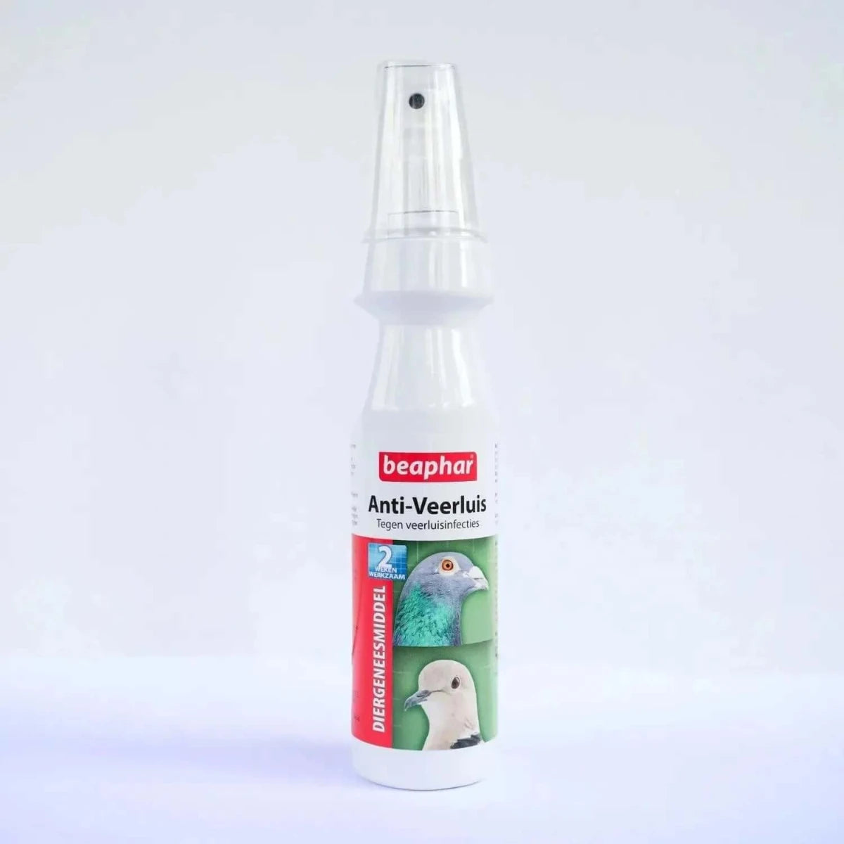 Anti Veerluis Spray , eenvouding in gebruik tegen veerluis bij kippen en vogels, Veerluis bestrijdingsspray kippenanti veerluis spray kippen kopen, beste anti veerluis spray voor kippen, natuurlijke anti veerluis spray voor kippen, veerluis spray voor kippen online bestellen, anti veerluis spray kippen biologisch, hoe gebruik je anti veerluis spray voor kippen, veerluis spray voor kippen zonder chemicaliën, zelf anti veerluis spray maken voor kippen, veilige anti veerluis spray voor kippen