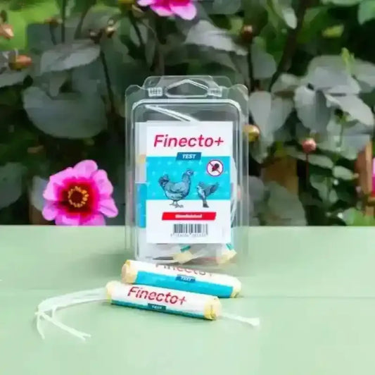 Finecto+ Test 2st voor Snelle Detectie van Bloedluizen - Kippenpakket.nl