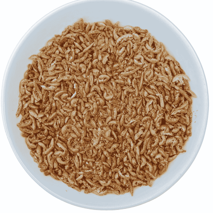 Premium Gedroogde Vlokreeftjes – Eiwitrijke Snack voor Kippen & Kuikens - Premium Gedroogde Vlokreeftjes – Eiwitrijke Snack voor Kippen & Kuikens - 1 Liter Hersluitbare Stazak (~170 gram) - Kippensnacks - Kuikensnacks Vlokreeftjes - - Kippenpakket.nl
