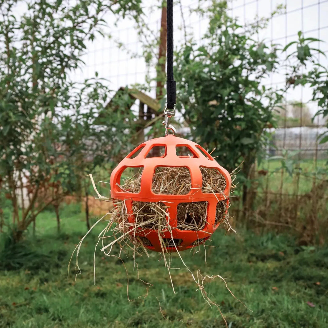 Hangende Snackbal , kippen speelgoed, verenpikken voorkomen door kippensnacks in kippen speelgoed, Voorkomt verveling bij kippen