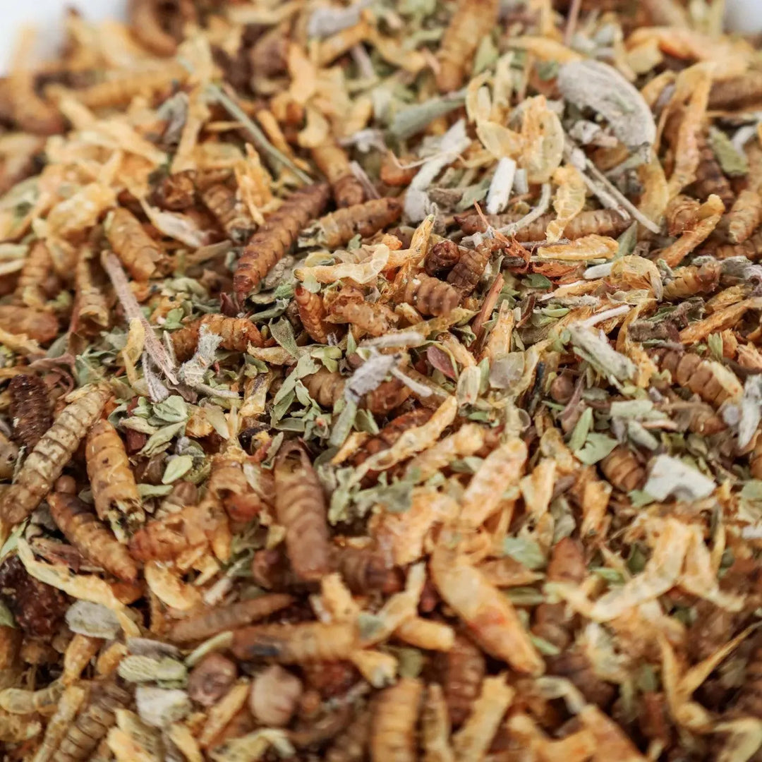 Kruidige insectenmix met gedroogde insecten en kruiden voor kippen en kuikens, een gezonde en eiwitrijke traktatie voor pluimvee. Natuurlijke voeding voor optimale gezondheid en groei. Kippenpakket.nl, Kippensnacks, Kuikens, Favorieten, AVADA Email Marketing - Newest Products, AVADA Email Marketing - Best Sellers