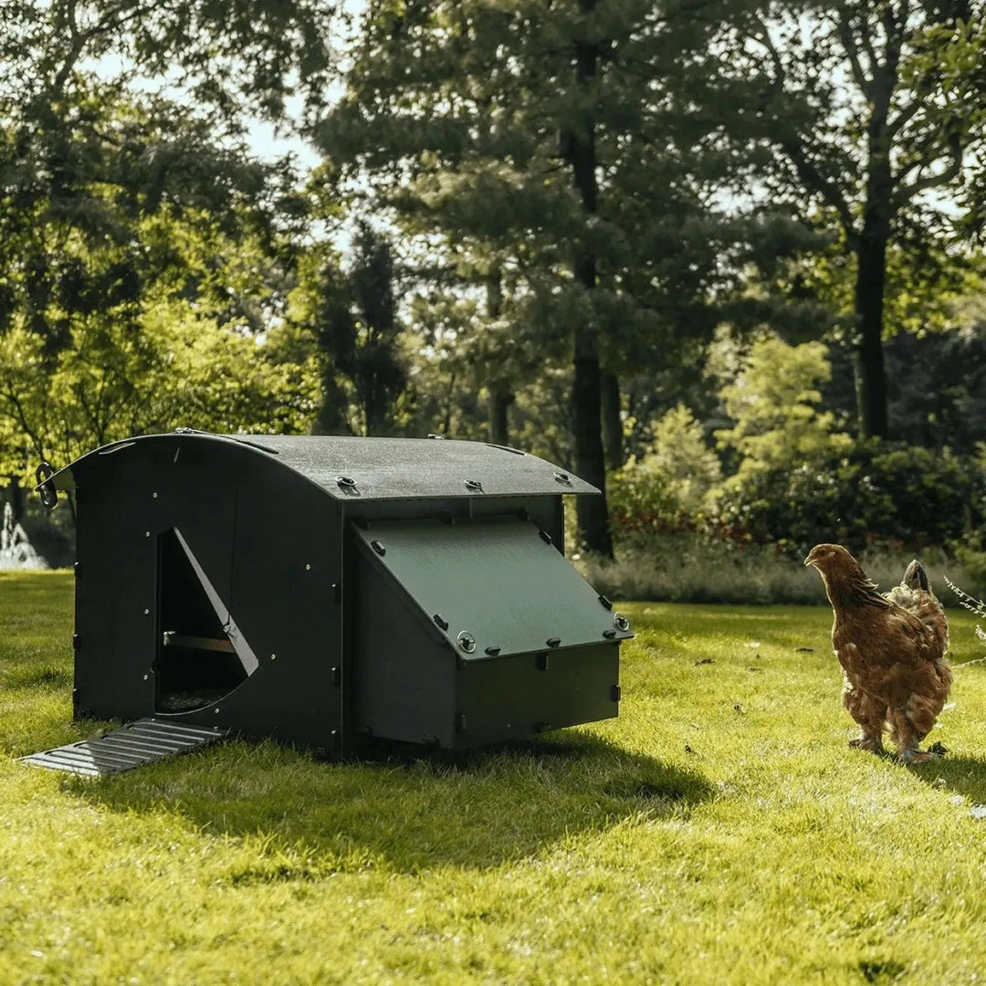 Nestera kippenhok large - 4 tot 15 kippen , bloedluis, bloedluisvrij, duurzaam, garantie, gerecycled, kippenhok, kippenhokken, Kippenpakket, korting wordt verrekend bij het afrekenen., kunststof, large, milieuvriendelijk, Nu 5% korting op alle Nestera kippenhokken en andere producten, onderhoudsvrij, Ventilatie