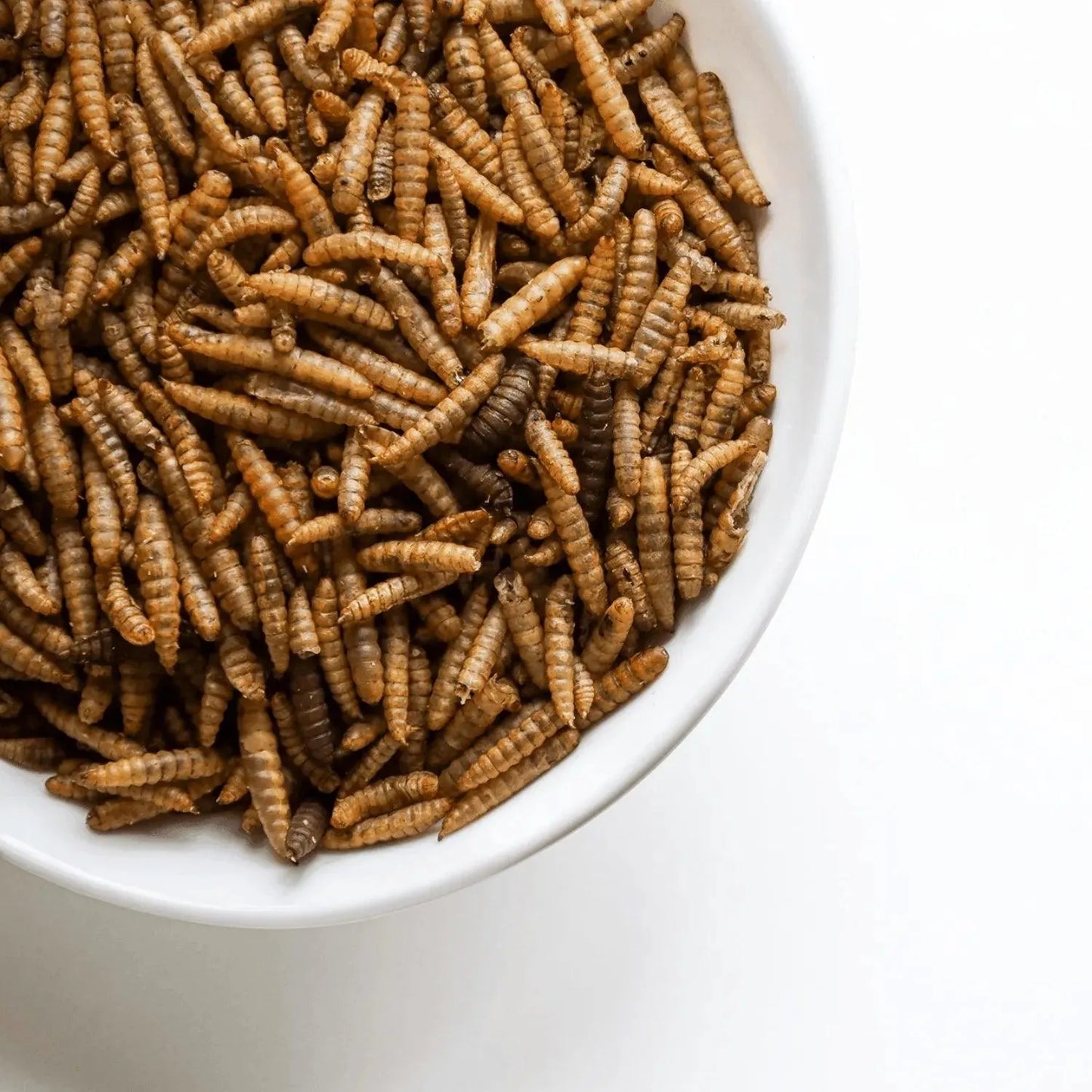 Nutri Worms 1L , kippenpakket.nl, kippensnack die gezond is, Lekkere kippensnack, Rijk aan eiwitten, voorkomt verenpikken door verveling