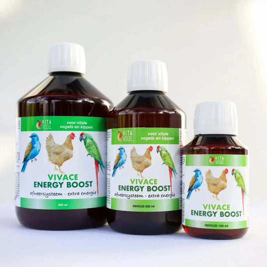 Drie Vivace Energy Boost - Vita Vogel flessen van Kippenpakket.nl verschijnen tegen een effen achtergrond met verschillende formaten. De Nederlandse etiketten bevatten afbeeldingen van een kip, blauwe vogel en groene papegaai, met de nadruk op vitaminen en mineralen.